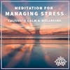 #17 MEDITATION FOR MANAGING STRESS - Cultivate Calm & Wellbeing ✨🙏