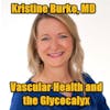 Episode 95: Vascular health and the Glycocalyx with Dr. Kristine Burke