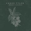 Canon Tyler's Album Review of Thickets and Brambles