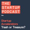 Edu: Startup Accelerators - Trash or Treasure?