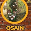 Osain Ozain Osayin Osanyin Orisha Herbs Ewe Lukumi Santeria Ifa Nature Tradtitonal Medicine