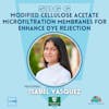 SDG 6 | Modified Cellulose Acetate Microfiltration Membranes for Enhance Dye Rejection | Isabel Vasquez