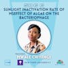 SDG 6 | Sunlight Inactivation Rate of MSEffect of Algae on the Bacteriophage | Mwale Chiyenge
