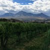 Colorado: Wine Enthusiast Top 10 Wine Getaways
