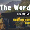 Word for the Week - Singing and Shouting in Church - Psalm 100 Easter Hope 2a