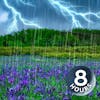 Thunder & Rain Sleep Sounds | 8-Hour Storm Ambience for Sleeping