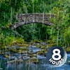 Water + Rainstorm Sounds for Sleep or Relaxation 8 Hours
