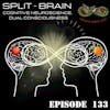 133. Split-Brain