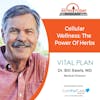 10/16/23: Dr. Bill Rawls with Vital Plan | Cellular Wellness: The Power of Herbs