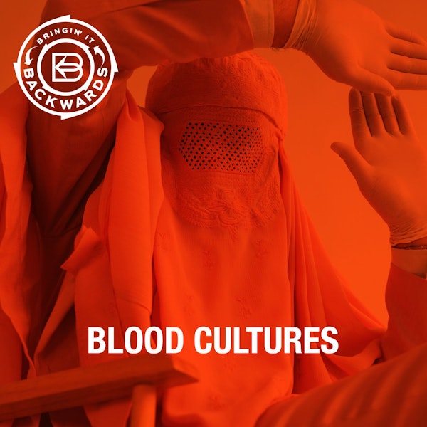 Interview with Blood Cultures