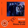 Interview with World Gone Cold