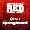 01 - Springboard