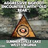 Aggressive Bigfoot Encounters of West Virginia