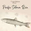 Pacific Salmon Run