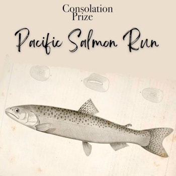 Pacific Salmon Run