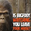 Sasquatch Encounters with Norma and Bob in Worcester County, Massachusetts