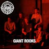 Interview with Giant Rooks