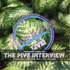 The PIVE Interview.