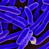 S5 E5: Normal Flora? The Story of E. coli