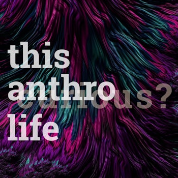 This Anthro Life 2023 trailer