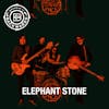 Interview with Elephant Stone