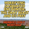Horrifying Gray Sasquatch Stares me Down in Montana (Members Only)