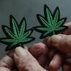 EP: 179 Should Georgia Make Marijuana Legal?  Inquiring Minds Wants To Know