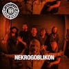 Interview with Nekrogoblikon