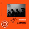 Interview with LIMBS