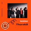 Interview with Thornhill