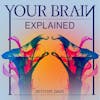 Your Brain Explained