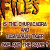 S364: Is the Tasmanian Tiger really the Chupacabra?