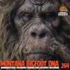 Montana Bigfoot DNA Discovery / Unseen Sasquatch Trail Cam Photos / Ken Medsker