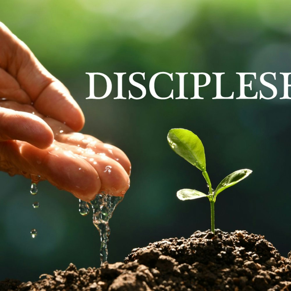 Jesus and Discipleship Pt 2