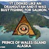 Alaskan Timber Worker's Chilling Sasquatch Encounter on Prince of Wales Island, Alaska