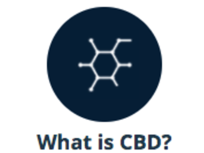 Martin Lee - The Essential Guide to CBD
