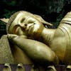 Buddha‘s Mind Deep Sleep Music With Delta Brainwaves