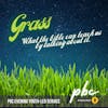 Youth-Led Service: Grass