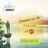 Summer in the Psalms - Psalm 52