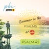 Summer In the Psalms - Psalm 42