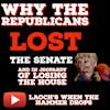 Why Republican’s lost Senate and almost lost the House.
