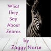 S1E18 - What They Say About Zebras by Zaggy Norse