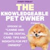 Canine and Feline Dental Care: Tips and Insights for Pet Owners