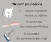 # 350 Brushes in Polish
