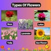 A Floral Vocabulary Journey In Polish