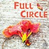 Episode 17: Full Circle