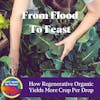 From Flood To Feast: How Regenerative Organic Farming Yields More Crop Per Drop with Caryl Levine & Ken Lee, founders of Lotus Foods