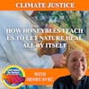 How Honeybees Teach Us To Let Nature Heal All By Itself With Henry Svec