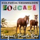 Cultural Chameleon Travel Podcast with Rod Desch