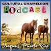 Cultural Chameleon Episode 6 - Vieques, Puerto Rico